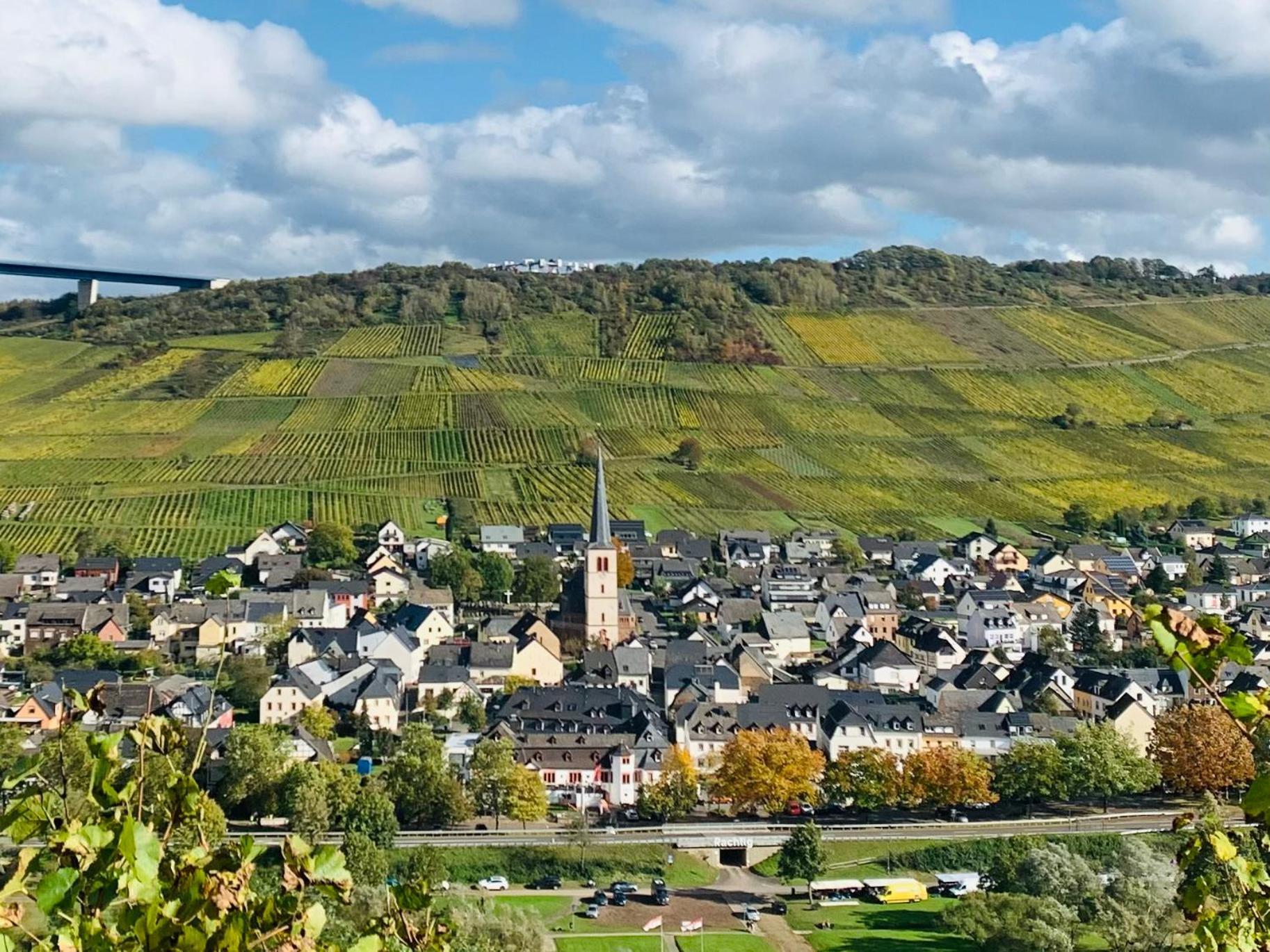 Weinhof Michael Morbach Zeltingen-Rachtig Exterior foto