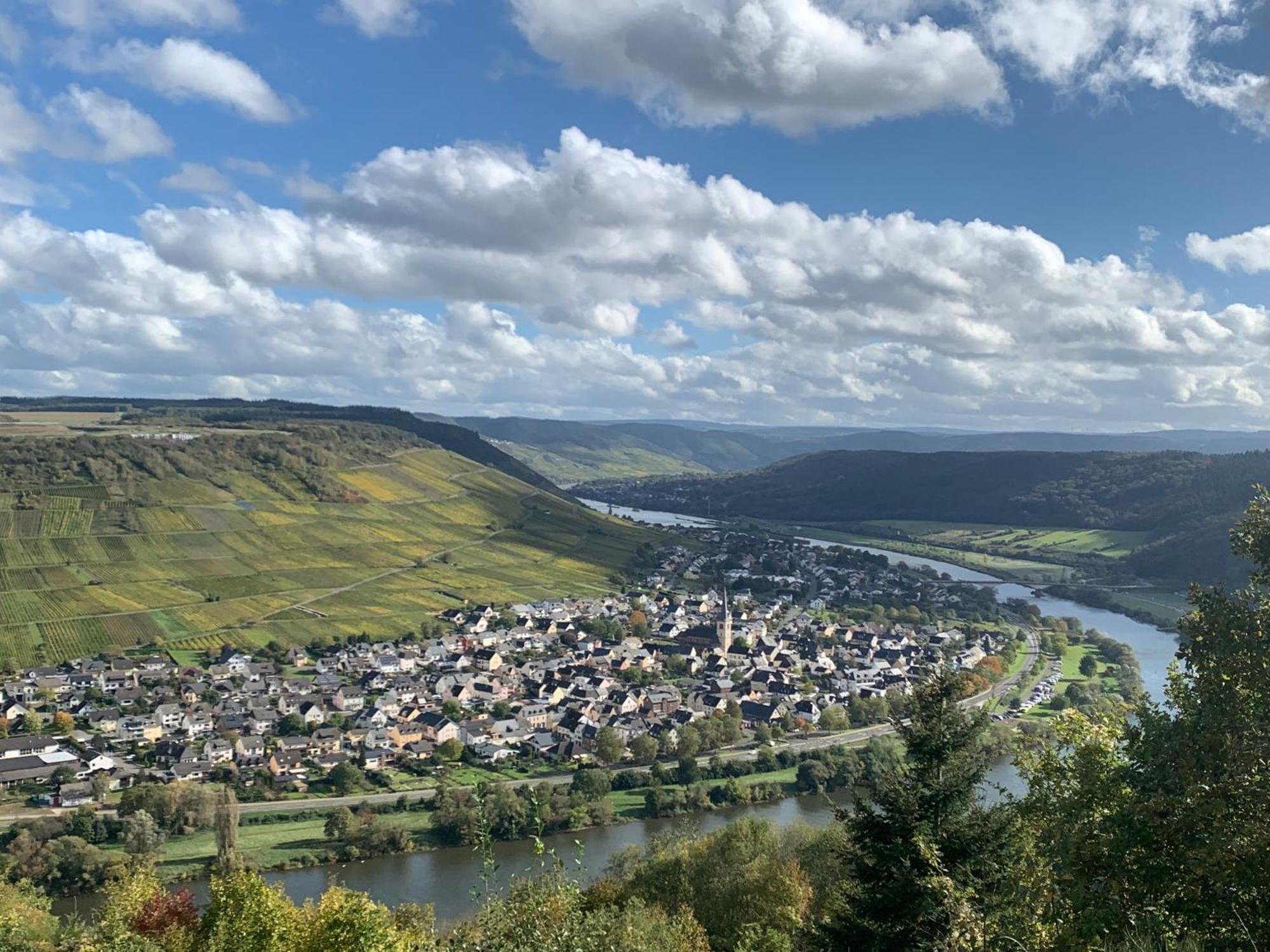Weinhof Michael Morbach Zeltingen-Rachtig Exterior foto